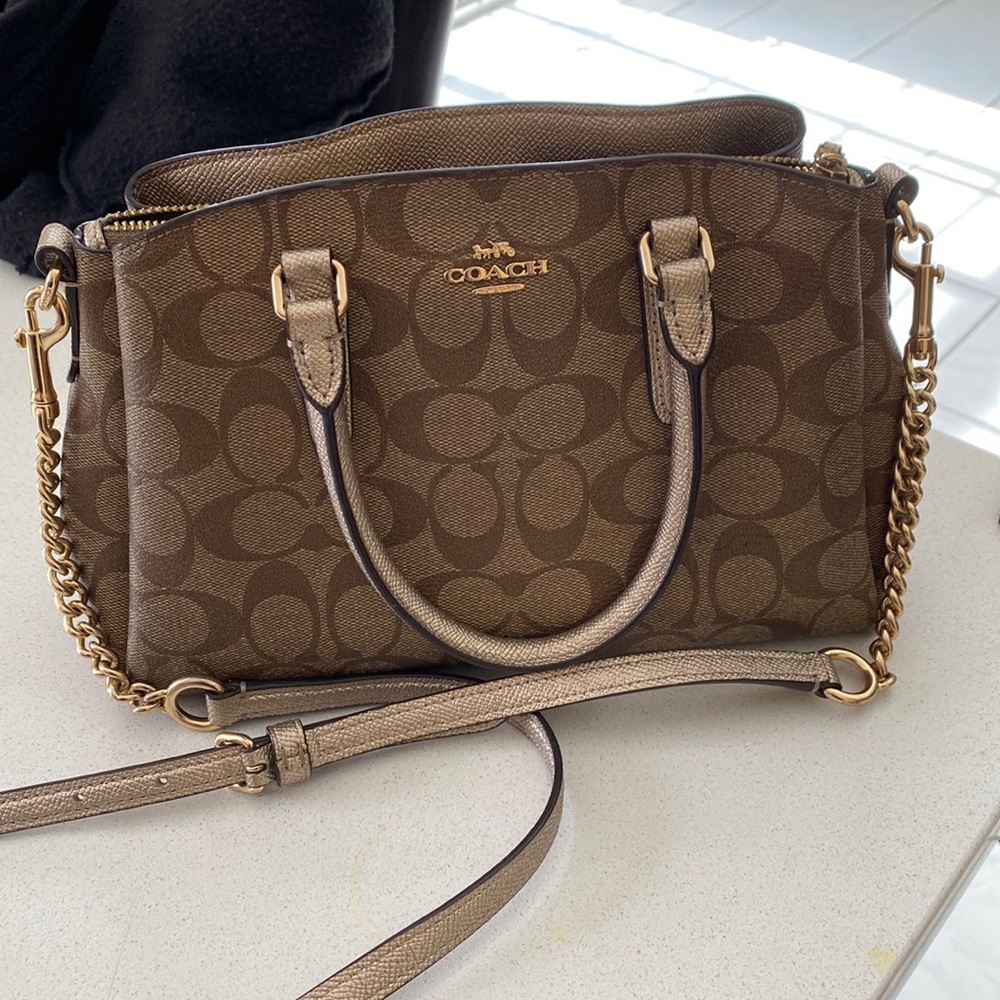 Mini coach bag
